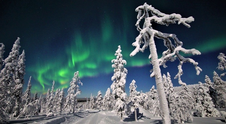 Salla aurora2